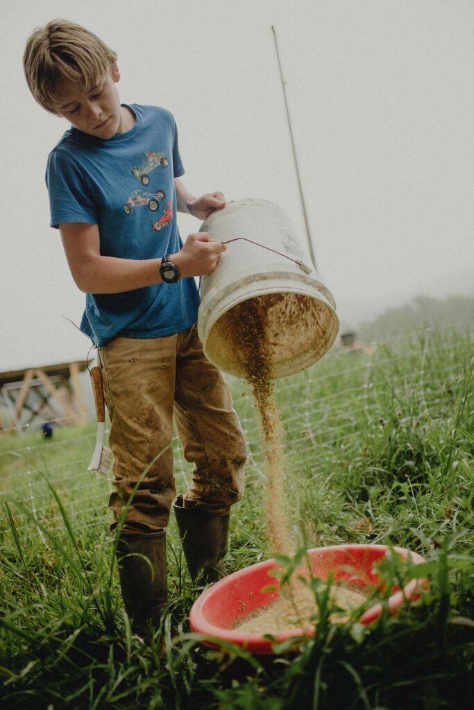 A boy adding feed to a feeder in a field.