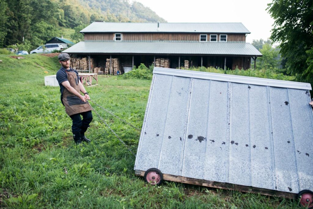 A man pulling an a-frame portable chicken coop.