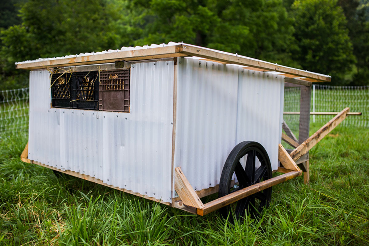 A portable chicken coop.