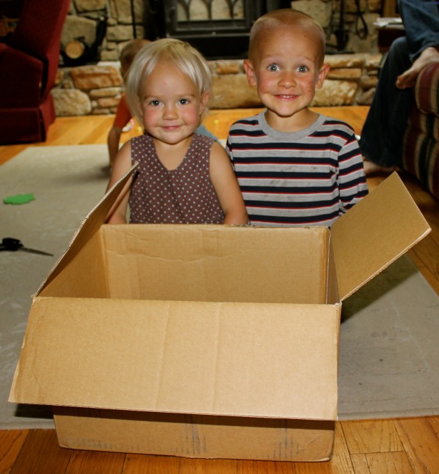 Two young kids with a large cardboard box.