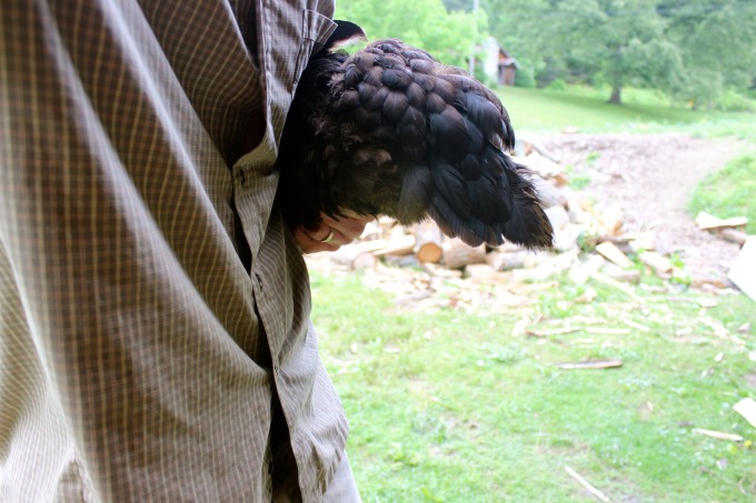 A man holding a chicken.