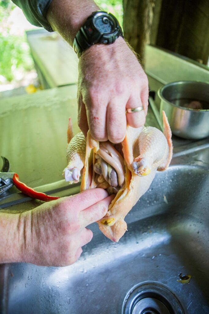 A chicken getting it's intestines removed for cleaning.