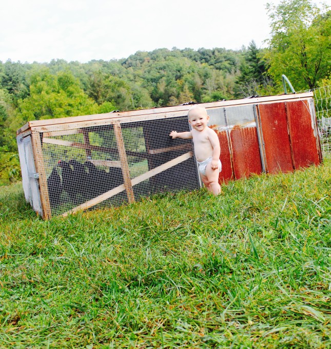 Chicken tractor with a baby standing next to it.