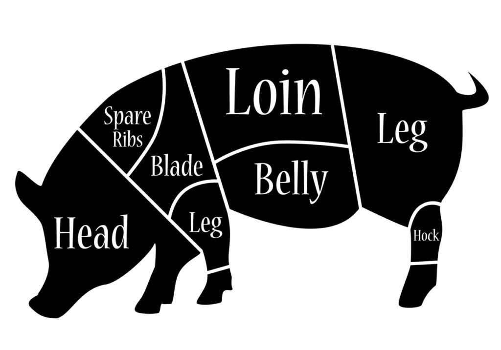 A diagram of the cuts of pork.