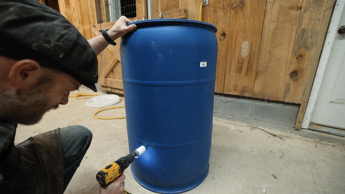 A man drilling a hole into a 55 gallon barrel for a DIY pig waterer.