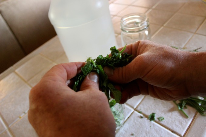 A man's hands crushing up fresh herbs.