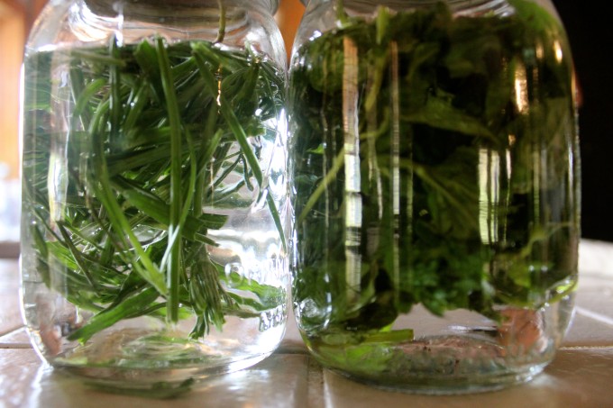 Herbs steeping in vinegar.