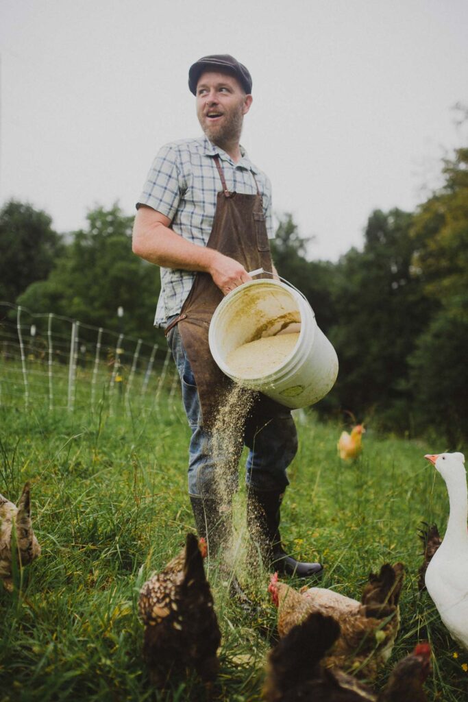 A man with a bucket of chicken feed dumping it out for chickens.