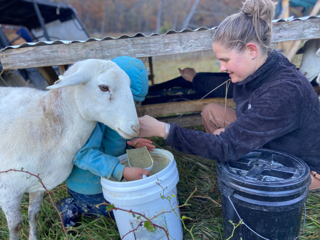A woman and her daughter adding minerals to a mineral shaw for sheep.