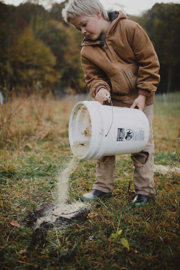 A young boy dumping chicken feed onto a pile of cow manure.