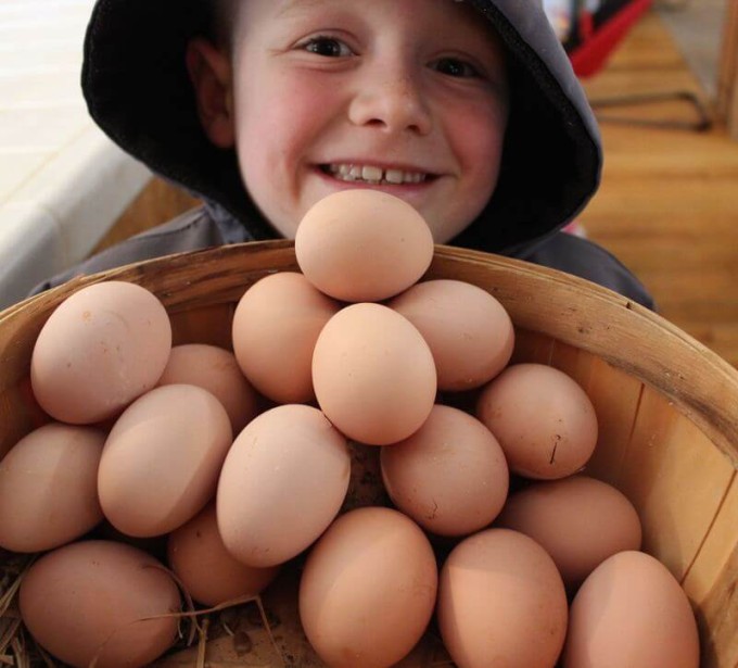 A young boy holding a basket full of eggs.