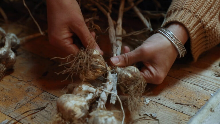 How to Braid Garlic and Onions - Abundant Permaculture