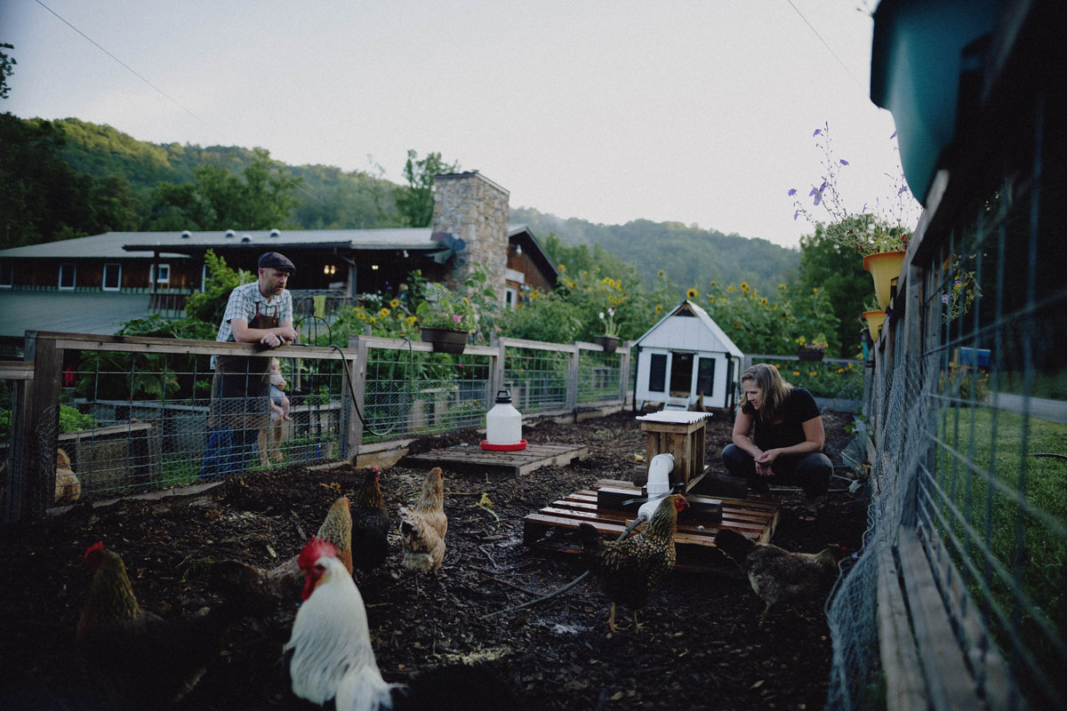 Feeding Chickens Without Grain Cut Your Costs 100 Abundant