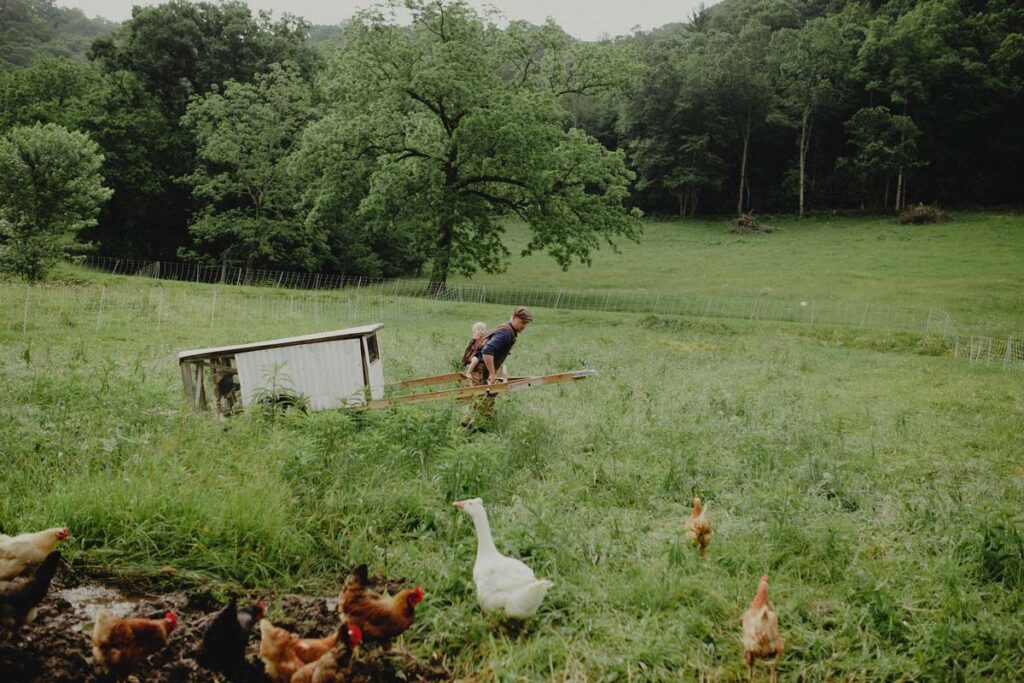 A man pulling a portable chicken tractor through a field.
