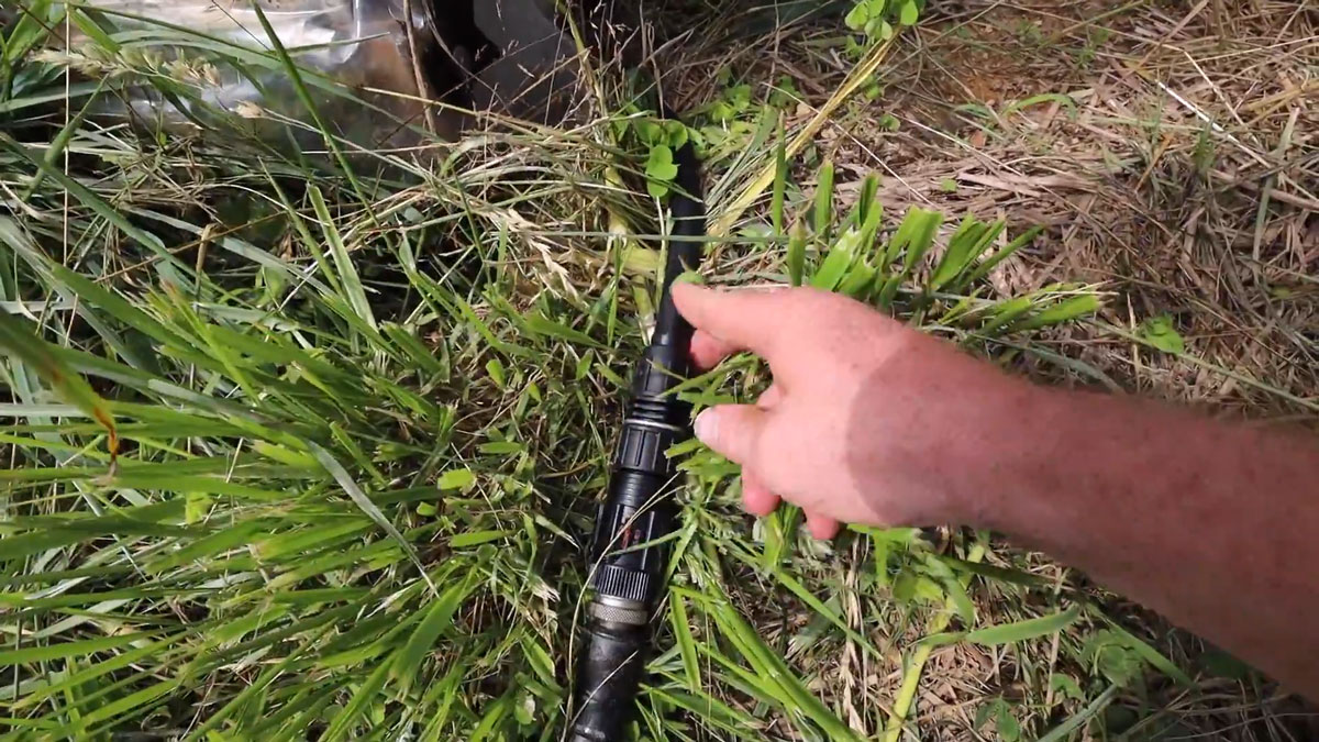 Drip irrigation connection.