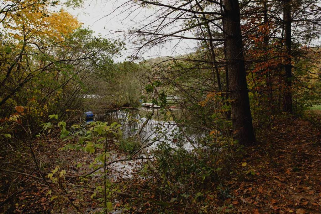 Looking at a pond through the trees.