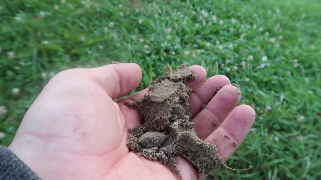 A handful of soil.