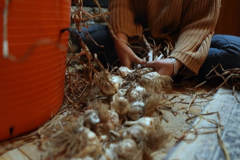 A woman braiding garlic.
